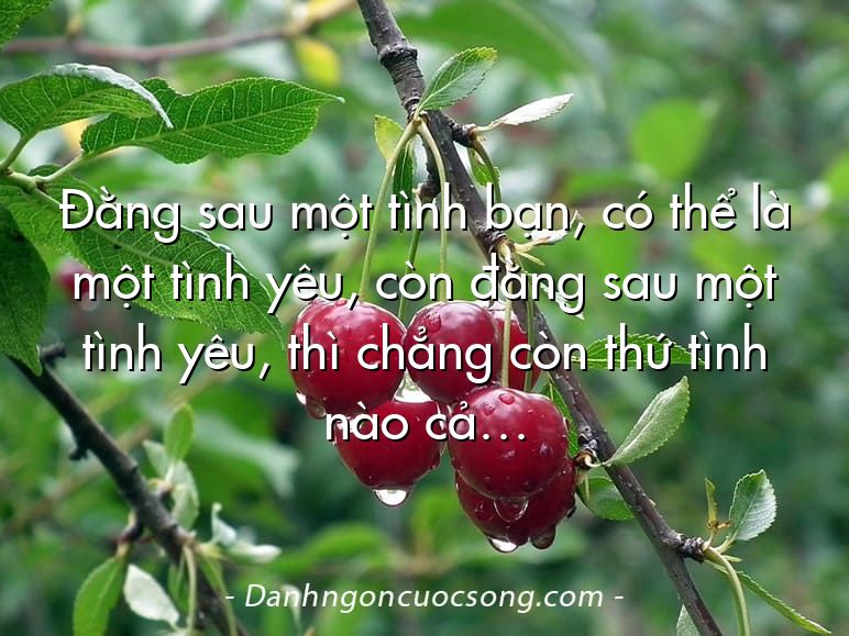 Đằng sau một tình bạn, có thể là một tình yêu, còn đằng sau một tình yêu, thì chẳng còn thứ tình nào cả…