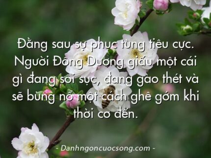 Đằng sau sự phục tùng tiêu cực. Người Đông Dương giấu một cái gì đang sôi sục, đang gào thét và sẽ bùng nổ một cách ghê gớm khi thời cơ đến.