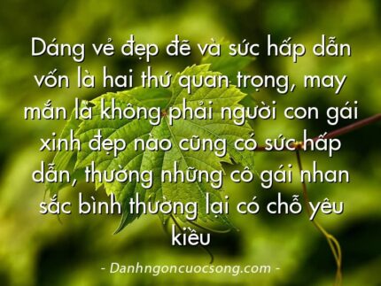 Dáng vẻ đẹp đẽ và sức hấp dẫn vốn là hai thứ quan trọng, may mắn là không phải người con gái xinh đẹp nào cũng có sức hấp dẫn, thường những cô gái nhan sắc bình thường lại có chỗ yêu kiều