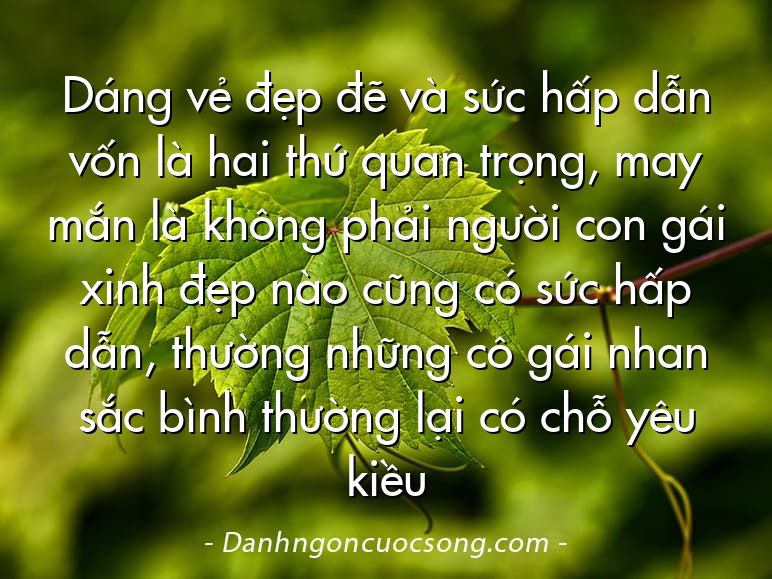Dáng vẻ đẹp đẽ và sức hấp dẫn vốn là hai thứ quan trọng, may mắn là không phải người con gái xinh đẹp nào cũng có sức hấp dẫn, thường những cô gái nhan sắc bình thường lại có chỗ yêu kiều