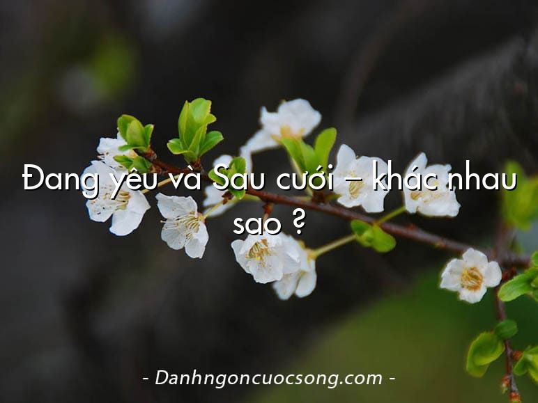 Đang yêu và Sau cưới – khác nhau sao ?