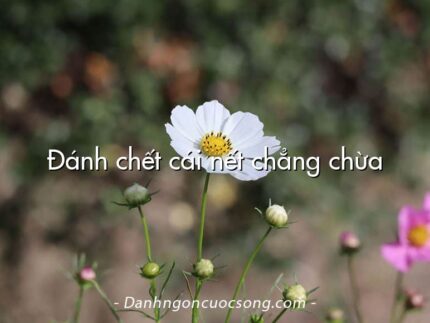 Đánh chết cái nết chẳng chừa