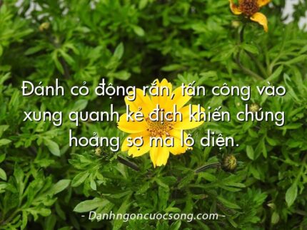 Đánh cỏ động rắn, tấn công vào xung quanh kẻ địch khiến chúng hoảng sợ mà lộ diện.