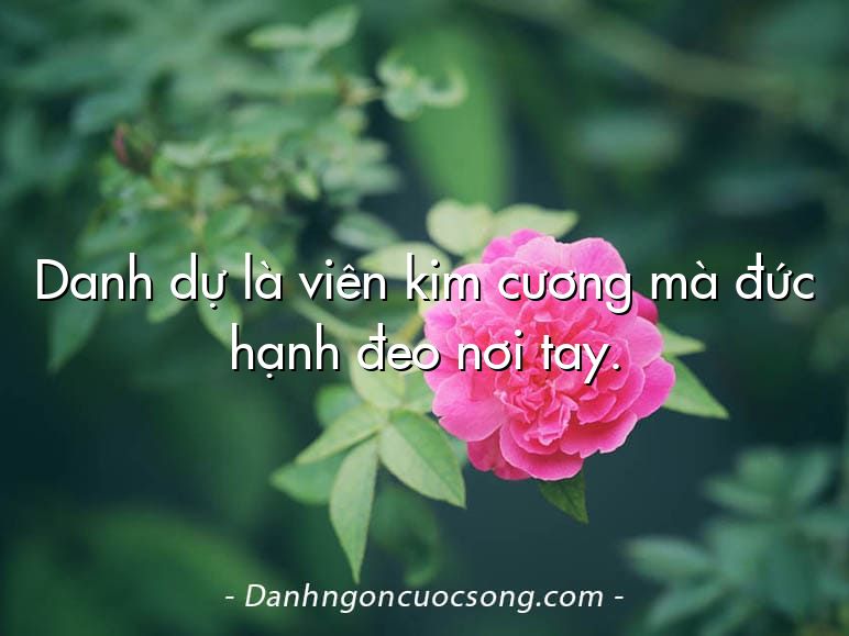 Danh dự là viên kim cương mà đức hạnh đeo nơi tay.