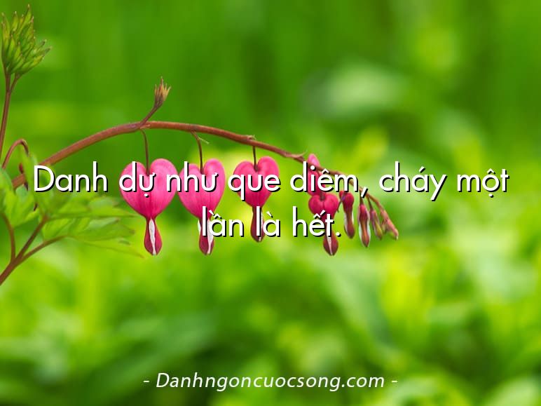 Danh dự như que diêm, cháy một lần là hết.
