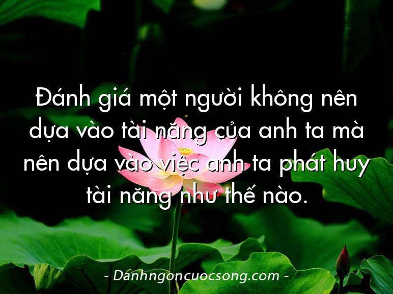 Đánh giá một người không nên dựa vào tài năng của anh ta mà nên dựa vào việc anh ta phát huy tài năng như thế nào.
