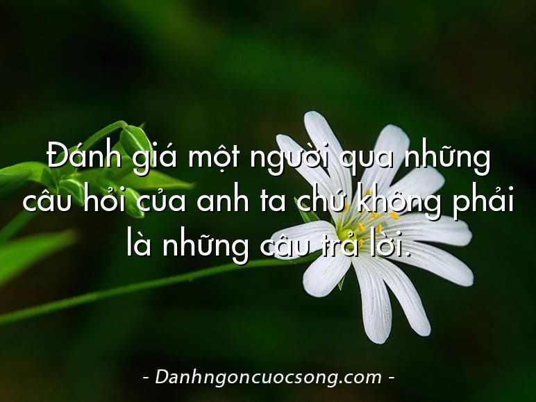 Đánh giá một người qua những câu hỏi của anh ta chứ không phải là những câu trả lời.