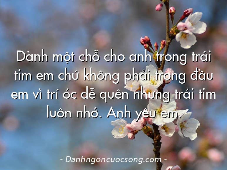 Dành một chỗ cho anh trong trái tim em chứ không phải trong đầu em vì trí óc dễ quên nhưng trái tim luôn nhớ. Anh yêu em.