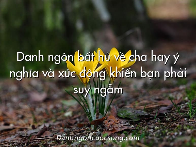 Danh ngôn bất hủ về cha hay ý nghĩa và xúc động khiến bạn phải suy ngẫm