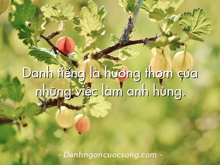Danh tiếng là hương thơm của những việc làm anh hùng.