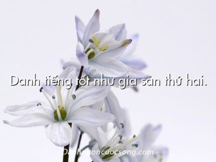 Danh tiếng tốt như gia sản thứ hai.