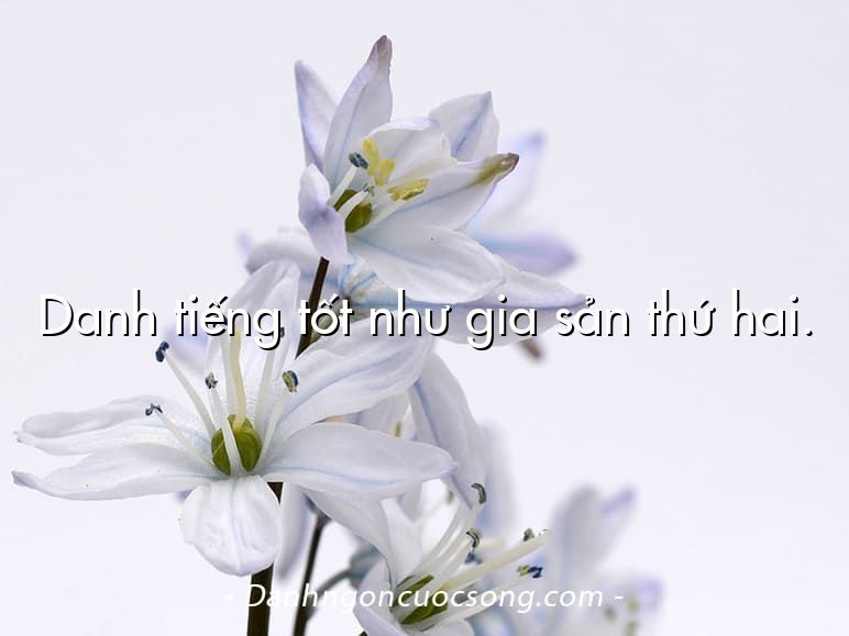 Danh tiếng tốt như gia sản thứ hai.