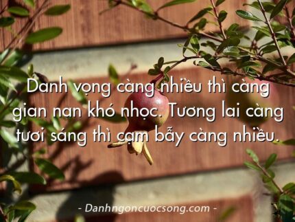 Danh vọng càng nhiều thì càng gian nan khó nhọc. Tương lai càng tươi sáng thì cạm bẫy càng nhiều.