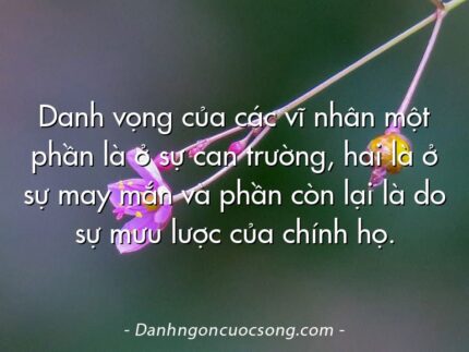 Danh vọng của các vĩ nhân một phần là ở sự can trường, hai là ở sự may mắn và phần còn lại là do sự mưu lược của chính họ.