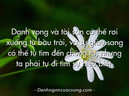 Danh vọng và tài sản có thể rơi xuống từ bầu trời, và sự giàu sang có thể tự tìm đến chúng ta, nhưng ta phải tự đi tìm sự hiểu biết.