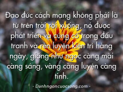 Đạo đức cách mạng không phải là từ trên trời rơi xuống, nó được phát triển và củng cố trong đấu tranh và rèn luyện kiên trì hàng ngày, giống như ngọc càng mài càng sáng, vàng càng luyện càng tinh.