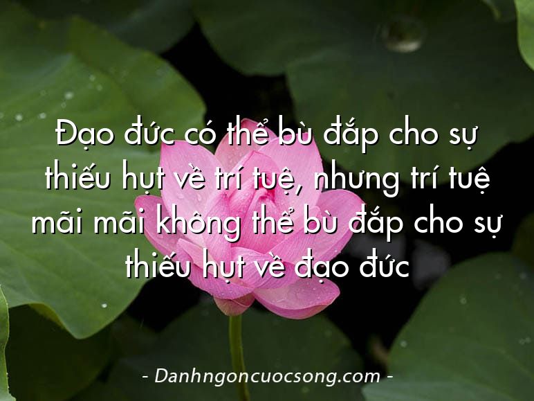 Đạo đức có thể bù đắp cho sự thiếu hụt về trí tuệ, nhưng trí tuệ mãi mãi không thể bù đắp cho sự thiếu hụt về đạo đức