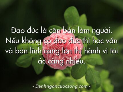 Đạo đức là căn bản làm người. Nếu không có đạo đức thì học vấn và bản lĩnh càng lớn thì hành vi tội ác càng nhiều.