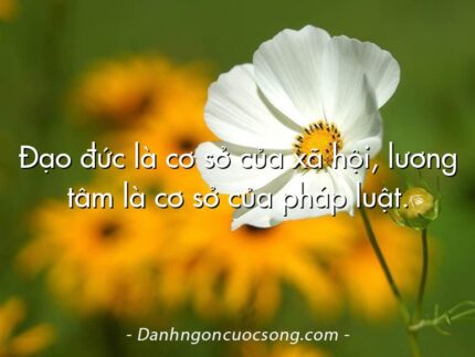 Đạo đức là cơ sở của xã hội, lương tâm là cơ sở của pháp luật.