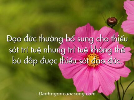 Đạo đức thường bổ sung cho thiếu sót trí tuệ nhưng trí tuệ không thể bù đắp được thiếu sót đạo đức.