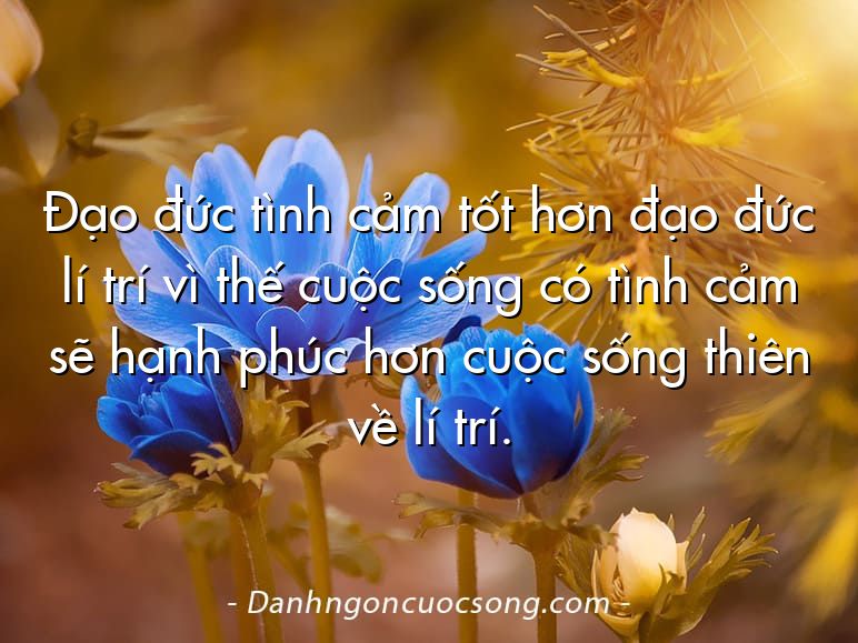 Đạo đức tình cảm tốt hơn đạo đức lí trí vì thế cuộc sống có tình cảm sẽ hạnh phúc hơn cuộc sống thiên về lí trí.