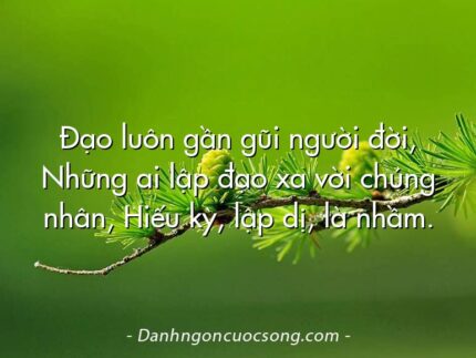 Đạo luôn gần gũi người đời, Những ai lập đạo xa vời chúng nhân, Hiếu kỳ, lập dị, là nhầm.
