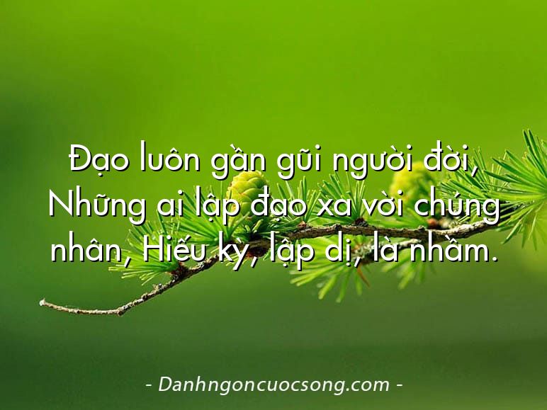 Đạo luôn gần gũi người đời, Những ai lập đạo xa vời chúng nhân, Hiếu kỳ, lập dị, là nhầm.