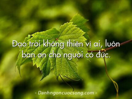 Đạo trời không thiên vị ai, luôn ban ơn cho người có đức.