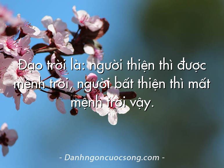 Đạo trời là: người thiện thì được mệnh trời, người bất thiện thì mất mệnh trời vậy.