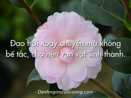 Đạo trời xoay chuyển mà không bế tắc, cho nên vạn vật sinh thành.