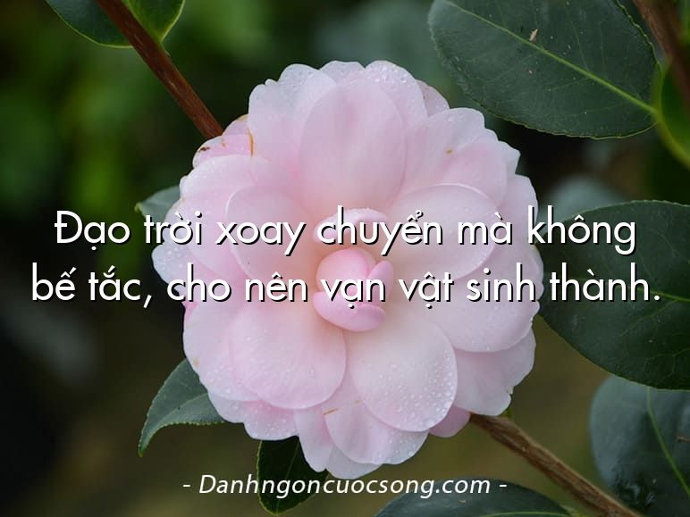 Đạo trời xoay chuyển mà không bế tắc, cho nên vạn vật sinh thành.