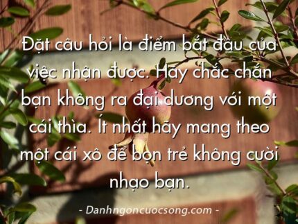 Đặt câu hỏi là điểm bắt đầu của việc nhận được. Hãy chắc chắn bạn không ra đại dương với một cái thìa. Ít nhất hãy mang theo một cái xô để bọn trẻ không cười nhạo bạn.