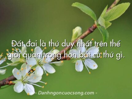 Đất đai là thứ duy nhất trên thế giới quan trọng hơn bất cứ thứ gì.