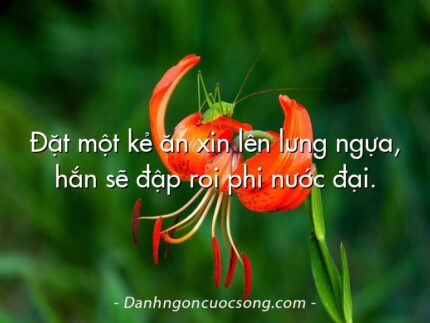 Đặt một kẻ ăn xin lên lưng ngựa, hắn sẽ đập roi phi nước đại.