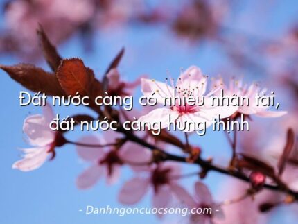 Đất nước càng có nhiều nhân tài, đất nước càng hưng thịnh
