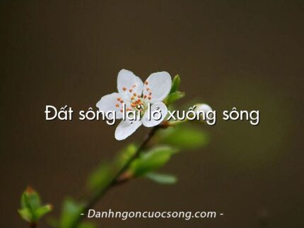 Đất sông lại lở xuống sông