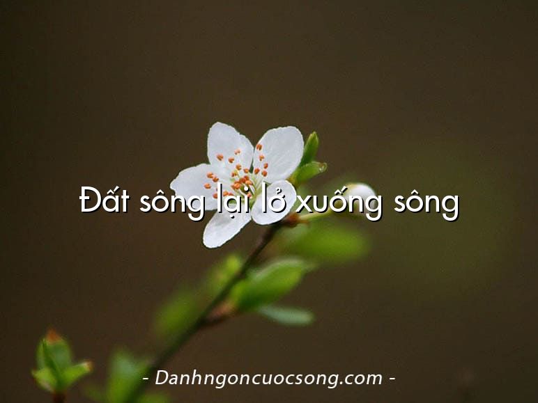 Đất sông lại lở xuống sông