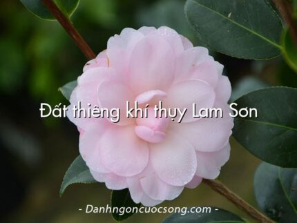 Đất thiêng khí thụy Lam Sơn