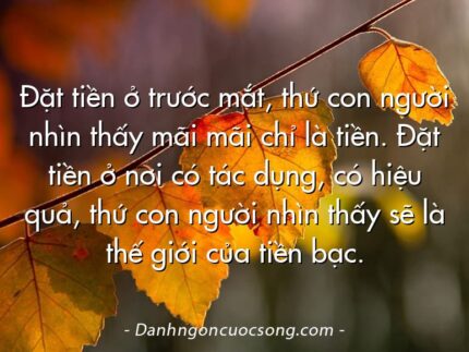 Đặt tiền ở trước mắt, thứ con người nhìn thấy mãi mãi chỉ là tiền. Đặt tiền ở nơi có tác dụng, có hiệu quả, thứ con người nhìn thấy sẽ là thế giới của tiền bạc.