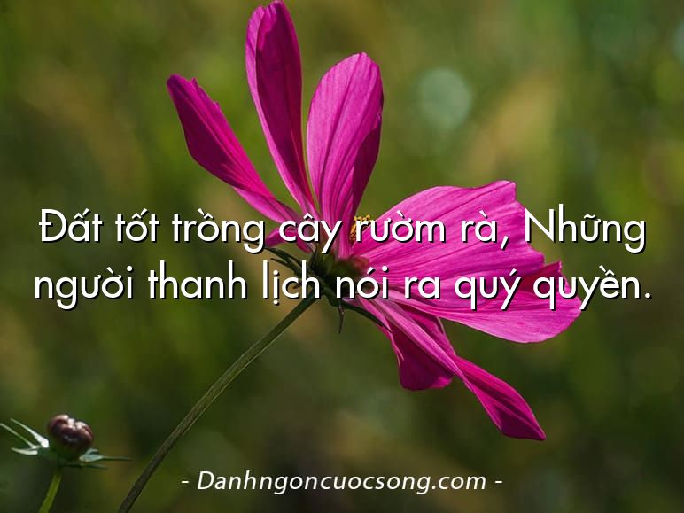 Đất tốt trồng cây rườm rà, Những người thanh lịch nói ra quý quyền.