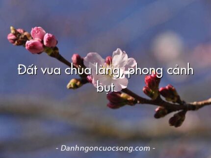 Đất vua chùa làng, phong cảnh bụt