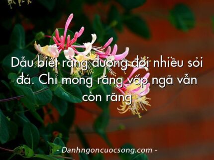 Dẫu biết rằng đường đời nhiều sỏi đá. Chỉ mong rằng vấp ngã vẫn còn răng