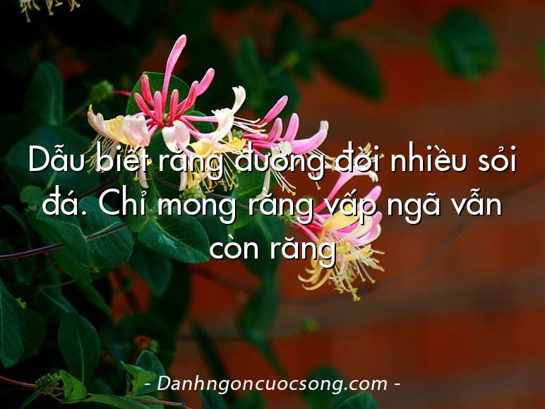 Dẫu biết rằng đường đời nhiều sỏi đá. Chỉ mong rằng vấp ngã vẫn còn răng