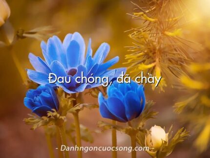 Đau chóng, đã chầy