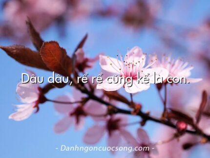 Dâu dâu, rể rể cũng kể là con.