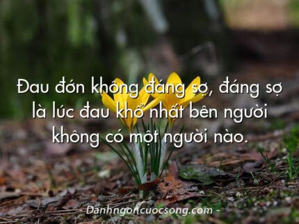Đau đớn không đáng sợ, đáng sợ là lúc đau khổ nhất bên người không có một người nào.