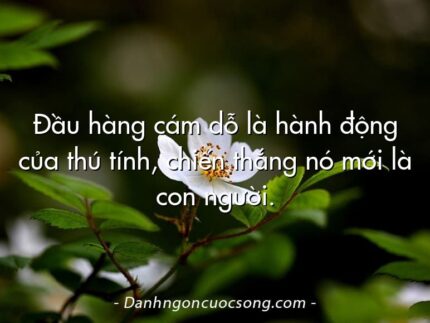 Đầu hàng cám dỗ là hành động của thú tính, chiến thắng nó mới là con người.