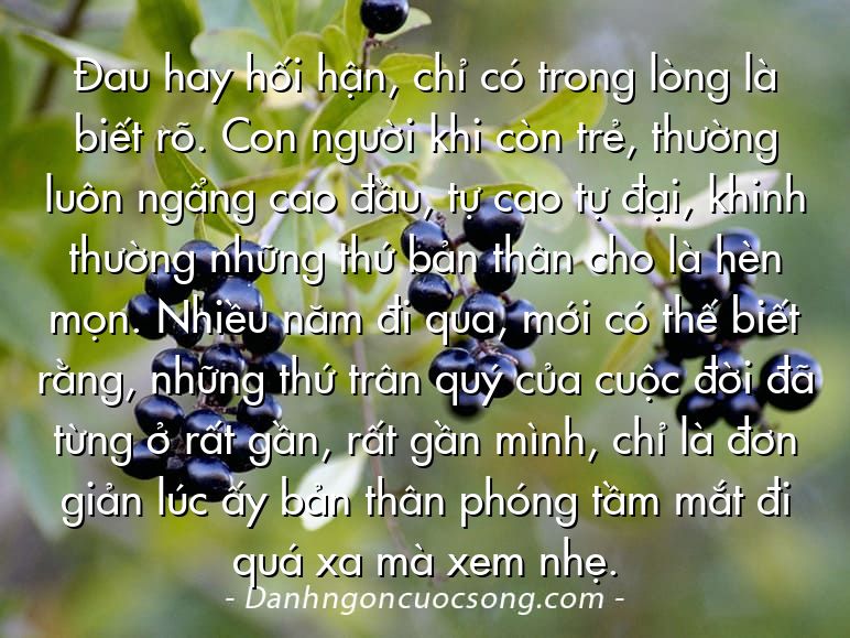 Đau hay hối hận, chỉ có trong lòng là biết rõ. Con người khi còn trẻ, thường luôn ngẩng cao đầu, tự cao tự đại, khinh thường những thứ bản thân cho là hèn mọn. Nhiều năm đi qua, mới có thế biết rằng, những thứ trân quý của cuộc đời đã từng ở rất gần, rất gần mình, chỉ là đơn giản lúc ấy bản thân phóng tầm mắt đi quá xa mà xem nhẹ.