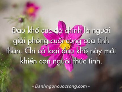 Đau khổ cực độ chính là người giải phóng cuối cùng của tinh thần. Chỉ có loại đau khổ này mới khiến con người thức tỉnh.
