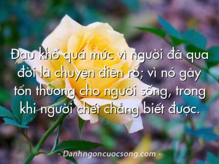 Đau khổ quá mức vì người đã qua đời là chuyện điên rồ; vì nó gây tổn thương cho người sống, trong khi người chết chẳng biết được.